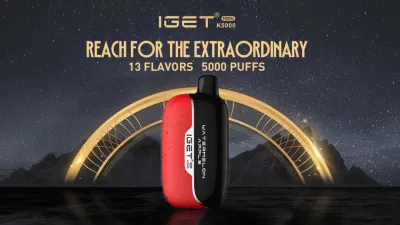 Iget Factory 도매 Iget Moon K5000 일회용 Vape 13가지 맛 5000puffs